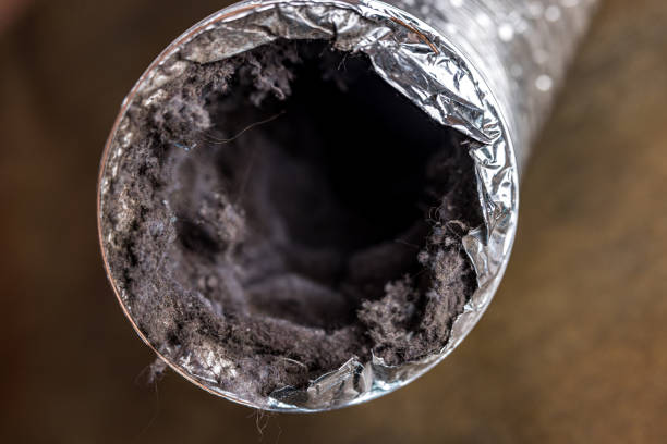 Best Affordable Air Duct Cleaning  in Belmond, IA